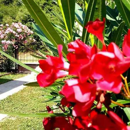 Le Giare House Apartament