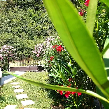 Apartment Le Giare House *