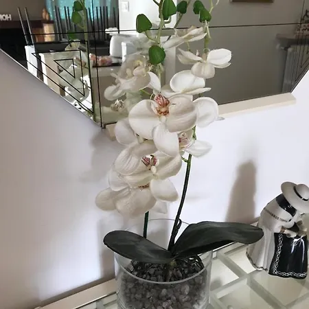 Le Giare House Appartement